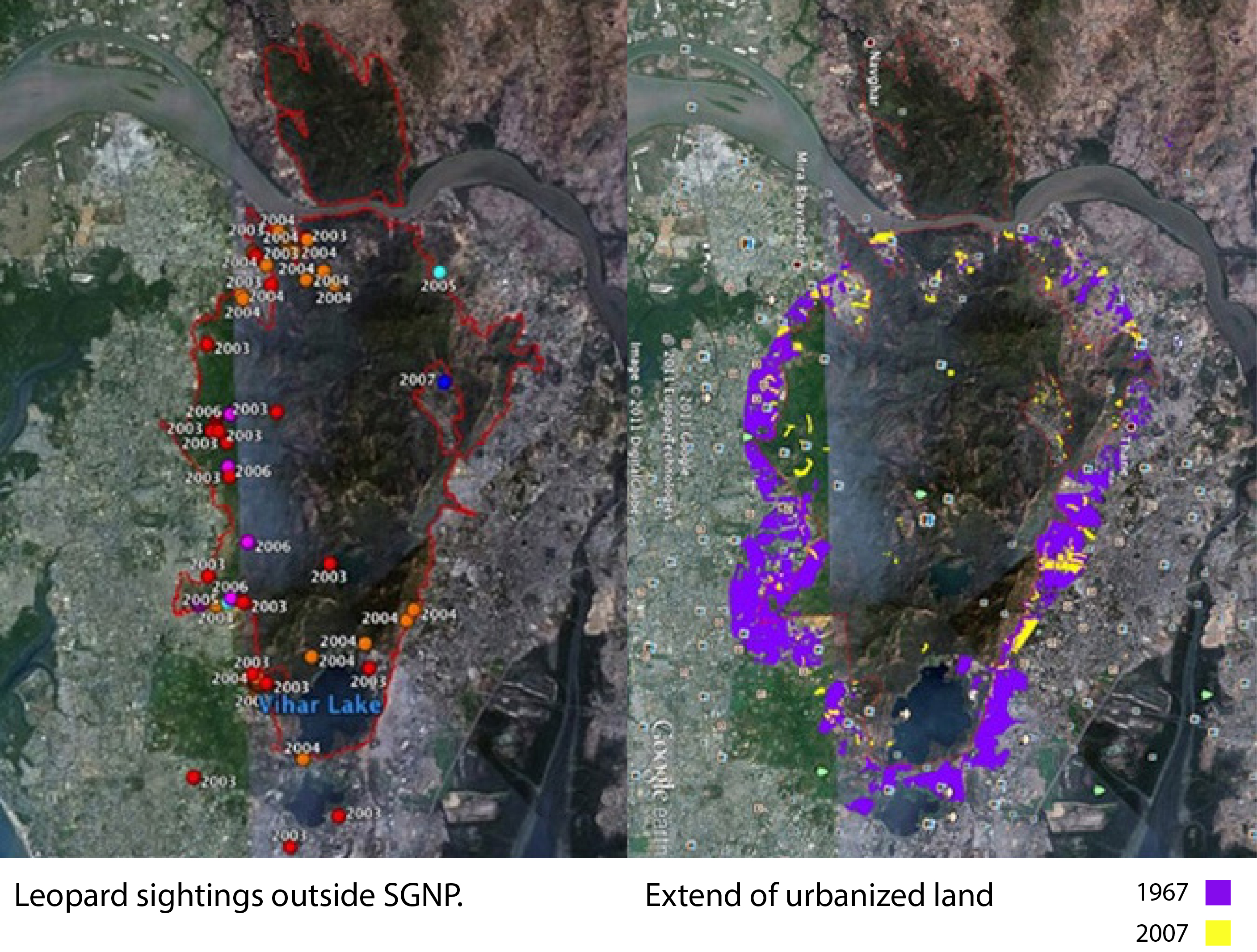 (Left) Map of leopard sightings from 2003-2004. (Right) Urban growth around the park from 1967-2007.